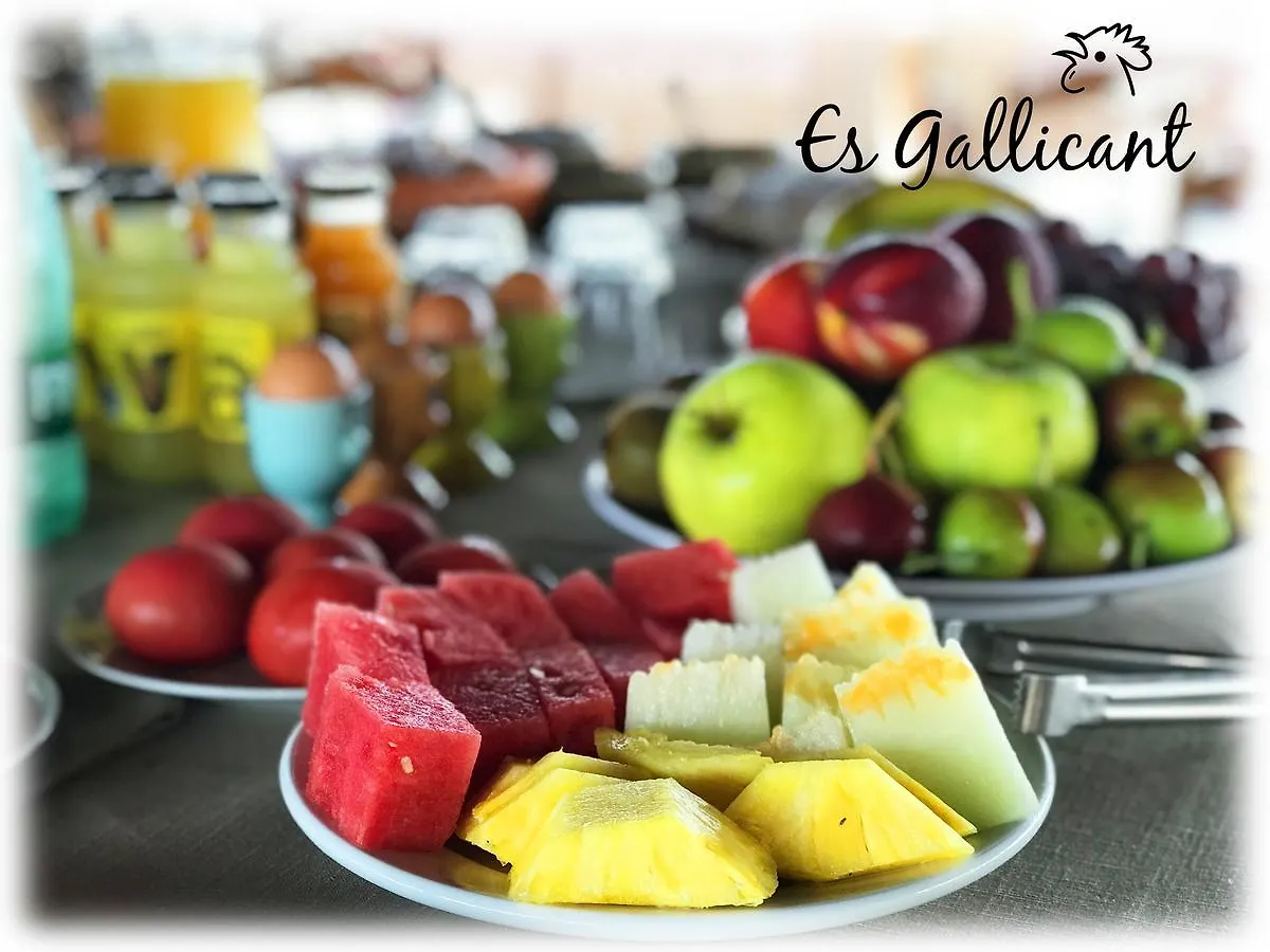 Agroturismo Es Gallicant Campos  0*, Campos (Mallorca) Spagna