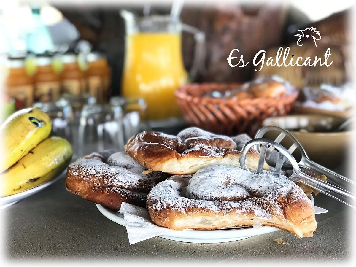Agroturismo Es Gallicant Campos  Alloggio per agriturismo Campos (Mallorca)