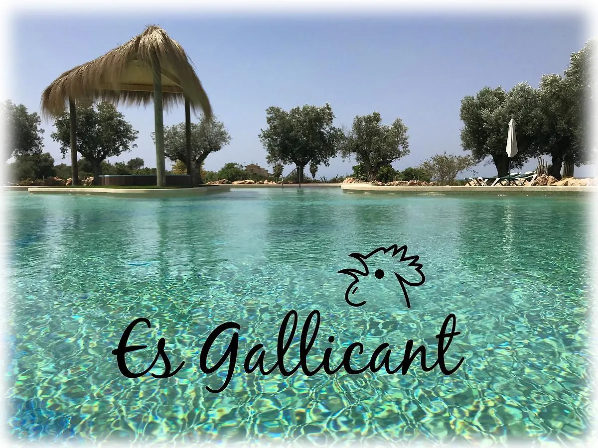 Agroturismo Es Gallicant Campos  Alloggio per agriturismo Campos (Mallorca)